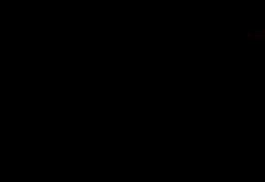 Tulipier black veneer