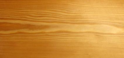 Larch veneer