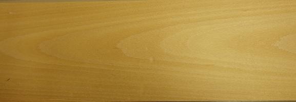 Beech veneer