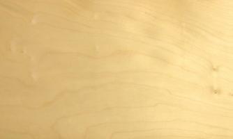 Sycomore (europ. Maple) veneer