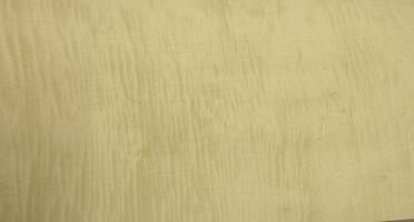 Sycomore figured veneer