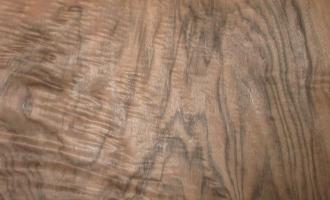 Walnut Burl veneer