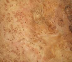 Vavona Burl veneer