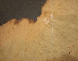 Ash Burl veneer
