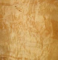 Poplar burl veneer