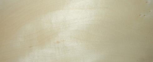 Sycomore (europ. Maple) veneer