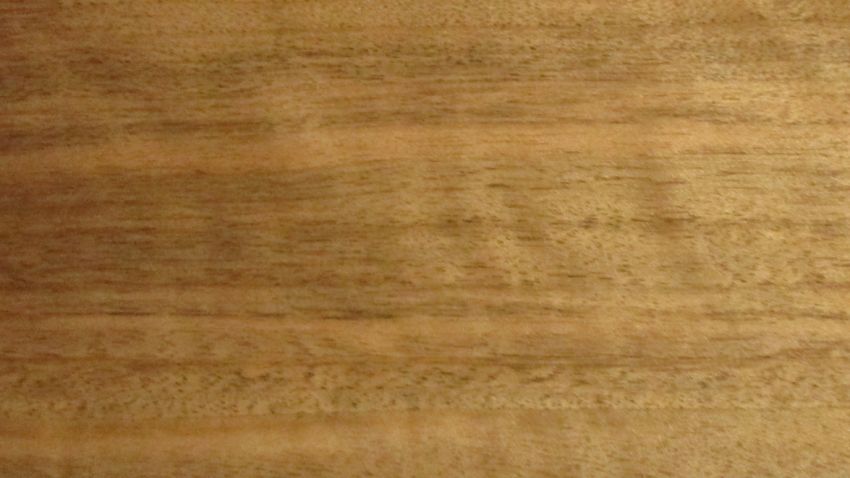 Walnut (european) veneer