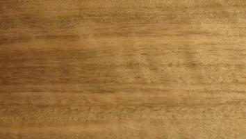 Walnut (european) veneer