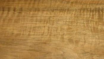 Walnut (european) veneer