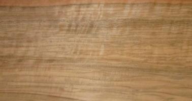 Walnut (european) veneer