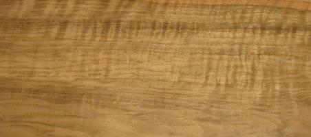 Walnut (european) veneer