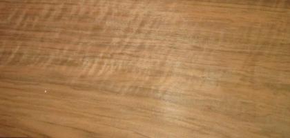 Walnut (european) veneer
