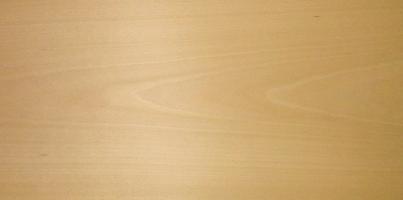 Beech veneer