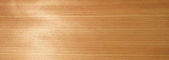 Larch veneer