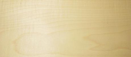 Sycomore (europ. Maple) veneer