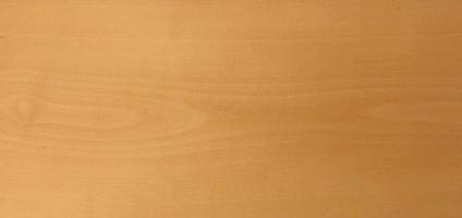 Beech veneer