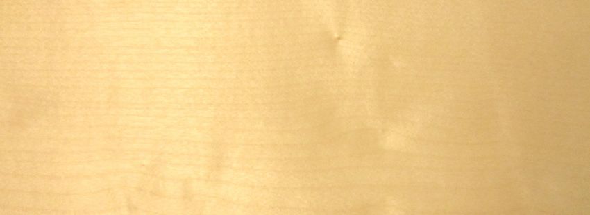 Sycomore (europ. Maple) veneer