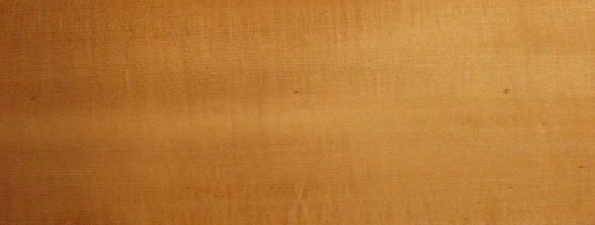 Apfel Indisch (Tineo) Furnier