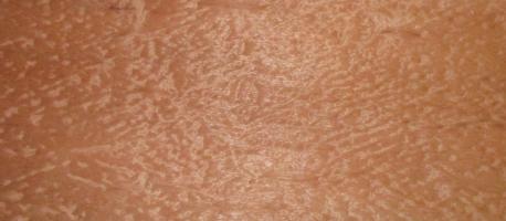 Mahogani Pommele veneer