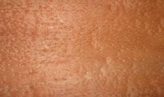 Mahogani Pommele veneer