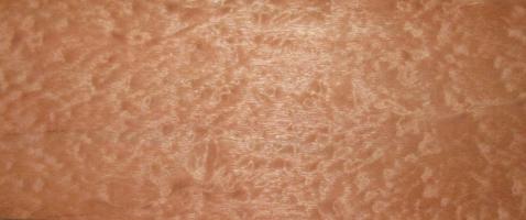 Mahogani Pommele veneer