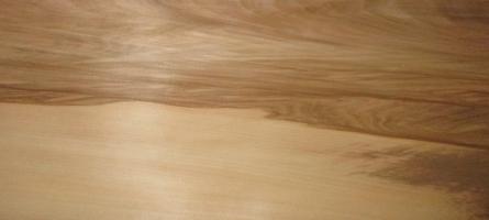 Walnut Satin (Satinwalnut) veneer