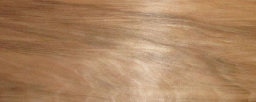 Walnut Satin (Satinwalnut) veneer