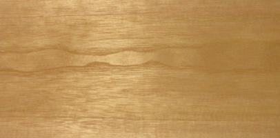 Paulownia veneer