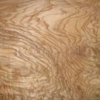Ash Burl veneer