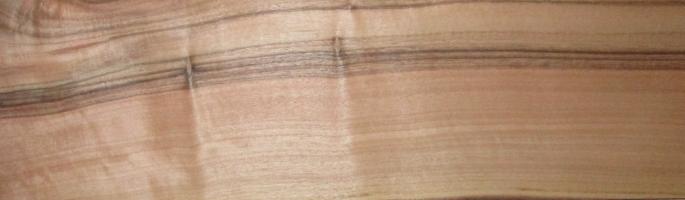Walnut (european) veneer