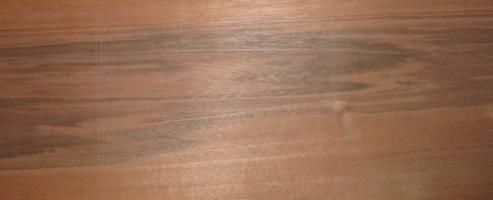 Walnut (european) veneer