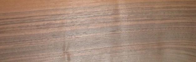 Walnut (european) veneer