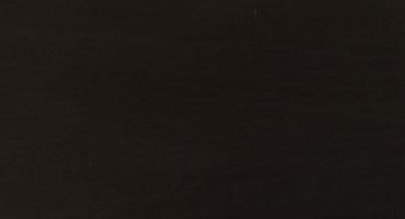 Poplar black veneer