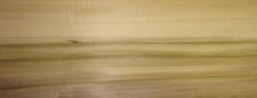 Poplar Olive veneer