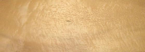 Maple (Birdseye Maple) veneer