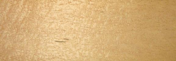 Maple (Birdseye Maple) veneer