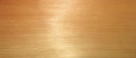 Larch veneer