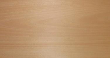 Beech veneer