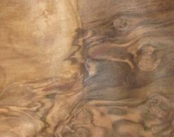 Walnut Burl veneer