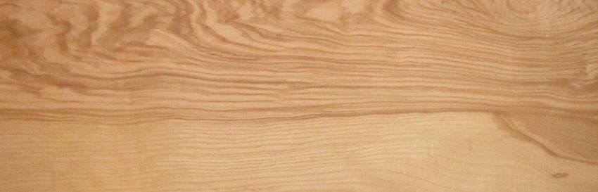 Ash (Olive Ash) veneer