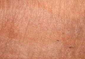 Madrona Burl veneer