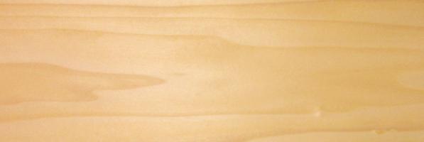 Poplar veneer