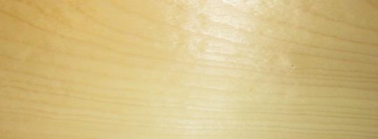Spruce veneer