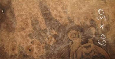 Walnut Burl veneer