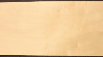 Sycomore (europ. Maple) veneer