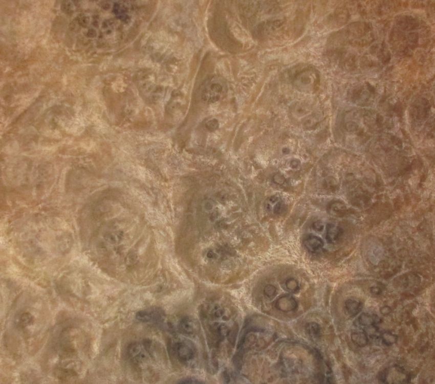 Nussbaum Maser (Wurzelholz) Furnier