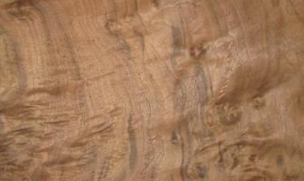 Walnut Burl veneer