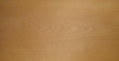 Beech veneer