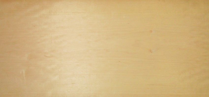 Maple (Hard Maple) veneer