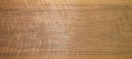 Walnut europ. veneer